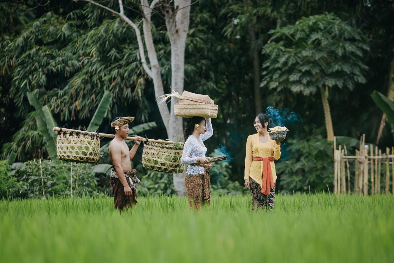 Candy Villa By Pramana Villas Ubud  Ngoại thất bức ảnh