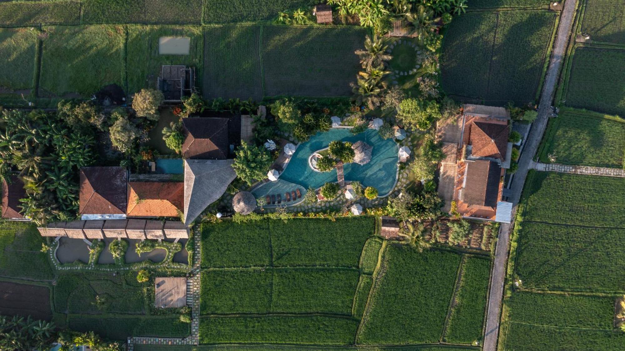 Candy Villa By Pramana Villas Ubud  Ngoại thất bức ảnh